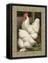 Roosters I-Cassel-Framed Stretched Canvas