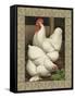 Roosters I-Cassel-Framed Stretched Canvas