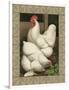 Roosters I-Cassel-Framed Art Print