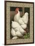 Roosters I-Cassel-Framed Art Print