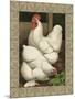 Roosters I-Cassel-Mounted Art Print