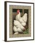 Roosters I-Cassel-Framed Art Print