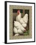 Roosters I-Cassel-Framed Art Print