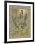 Roosters II-Cassel-Framed Art Print