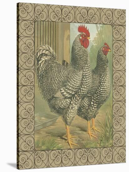 Roosters II-Cassel-Stretched Canvas