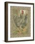 Roosters II-Cassel-Framed Art Print