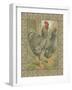 Roosters II-Cassel-Framed Art Print