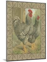 Roosters II-Cassel-Mounted Art Print