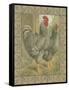 Roosters II-Cassel-Framed Stretched Canvas