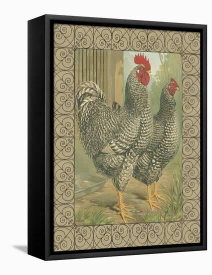 Roosters II-Cassel-Framed Stretched Canvas