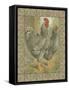Roosters II-Cassel-Framed Stretched Canvas