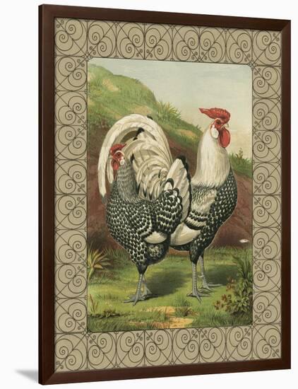 Roosters III-Cassel-Framed Art Print