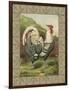 Roosters III-Cassel-Framed Art Print