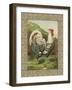 Roosters III-Cassel-Framed Art Print