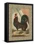 Roosters V-Cassel-Framed Stretched Canvas