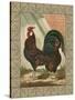 Roosters V-Cassel-Stretched Canvas