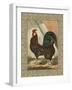 Roosters V-Cassel-Framed Art Print