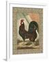 Roosters V-Cassel-Framed Art Print