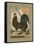 Roosters V-Cassel-Framed Stretched Canvas