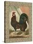 Roosters V-Cassel-Stretched Canvas