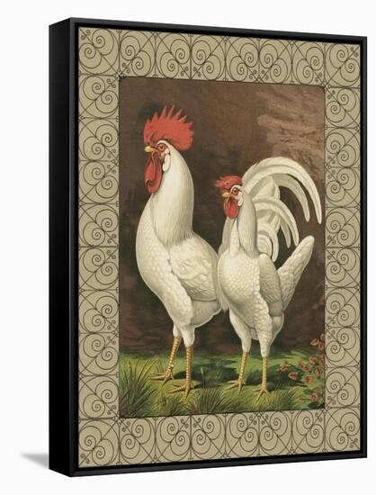 Roosters VI-Cassel-Framed Stretched Canvas