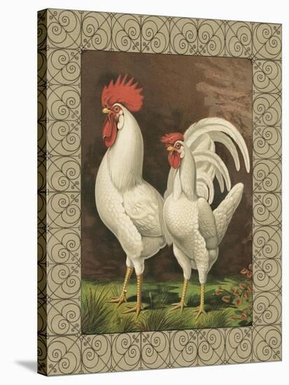 Roosters VI-Cassel-Stretched Canvas