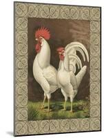 Roosters VI-Cassel-Mounted Art Print