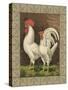 Roosters VI-Cassel-Stretched Canvas