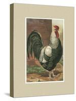 Roosters with Mat IV-Cassel-Stretched Canvas