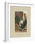 Roosters with Mat IV-Cassel-Framed Art Print