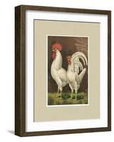 Roosters with Mat VI-Cassel-Framed Art Print