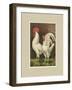 Roosters with Mat VI-Cassel-Framed Art Print