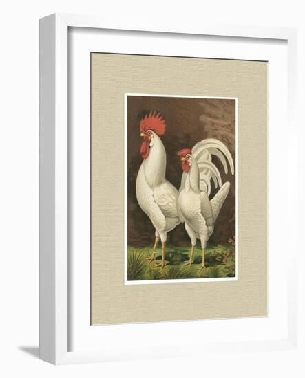 Roosters with Mat VI-Cassel-Framed Art Print