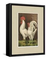 Roosters with Mat VI-Cassel-Framed Stretched Canvas