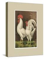 Roosters with Mat VI-Cassel-Stretched Canvas