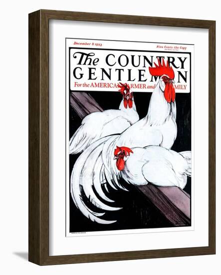 "Roosting Rooster and Hens," Country Gentleman Cover, December 8, 1923-Paul Bransom-Framed Giclee Print