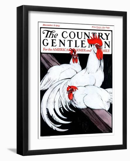 "Roosting Rooster and Hens," Country Gentleman Cover, December 8, 1923-Paul Bransom-Framed Giclee Print