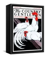 "Roosting Rooster and Hens," Country Gentleman Cover, December 8, 1923-Paul Bransom-Framed Stretched Canvas