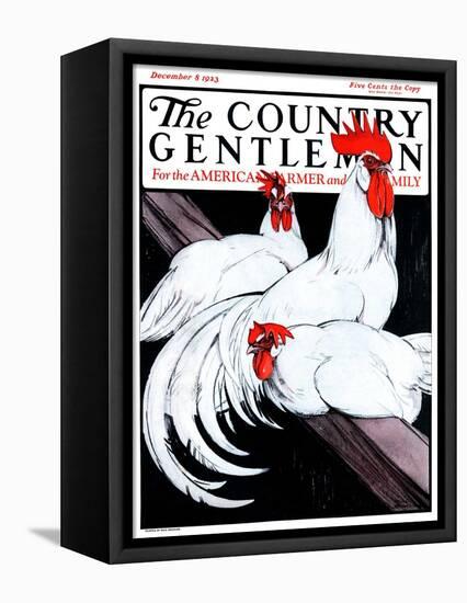 "Roosting Rooster and Hens," Country Gentleman Cover, December 8, 1923-Paul Bransom-Framed Stretched Canvas