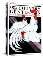 "Roosting Rooster and Hens," Country Gentleman Cover, December 8, 1923-Paul Bransom-Stretched Canvas