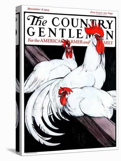 "Roosting Rooster and Hens," Country Gentleman Cover, December 8, 1923-Paul Bransom-Stretched Canvas