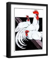 "Roosting Rooster and Hens,"December 8, 1923-Paul Bransom-Framed Giclee Print