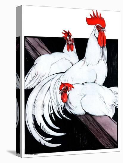 "Roosting Rooster and Hens,"December 8, 1923-Paul Bransom-Stretched Canvas