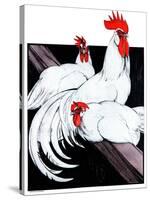 Roosting Rooster & Hens-Paul Bransom-Stretched Canvas