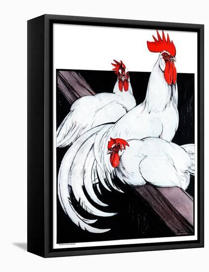 Roosting Rooster & Hens-Paul Bransom-Framed Stretched Canvas