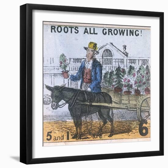 Roots All Growing!, Cries of London, C1840-TH Jones-Framed Giclee Print