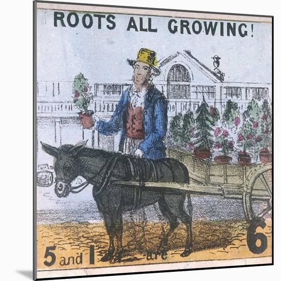 Roots All Growing!, Cries of London, C1840-TH Jones-Mounted Giclee Print