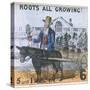 Roots All Growing!, Cries of London, C1840-TH Jones-Stretched Canvas