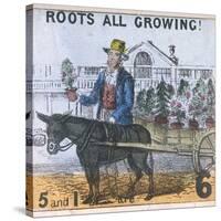 Roots All Growing!, Cries of London, C1840-TH Jones-Stretched Canvas