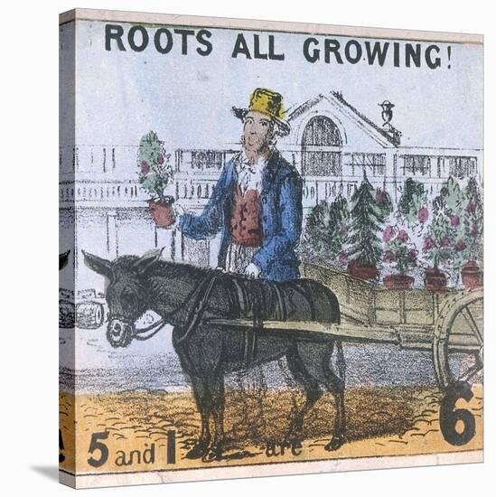 Roots All Growing!, Cries of London, C1840-TH Jones-Stretched Canvas